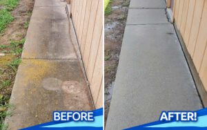 Pressure Washing